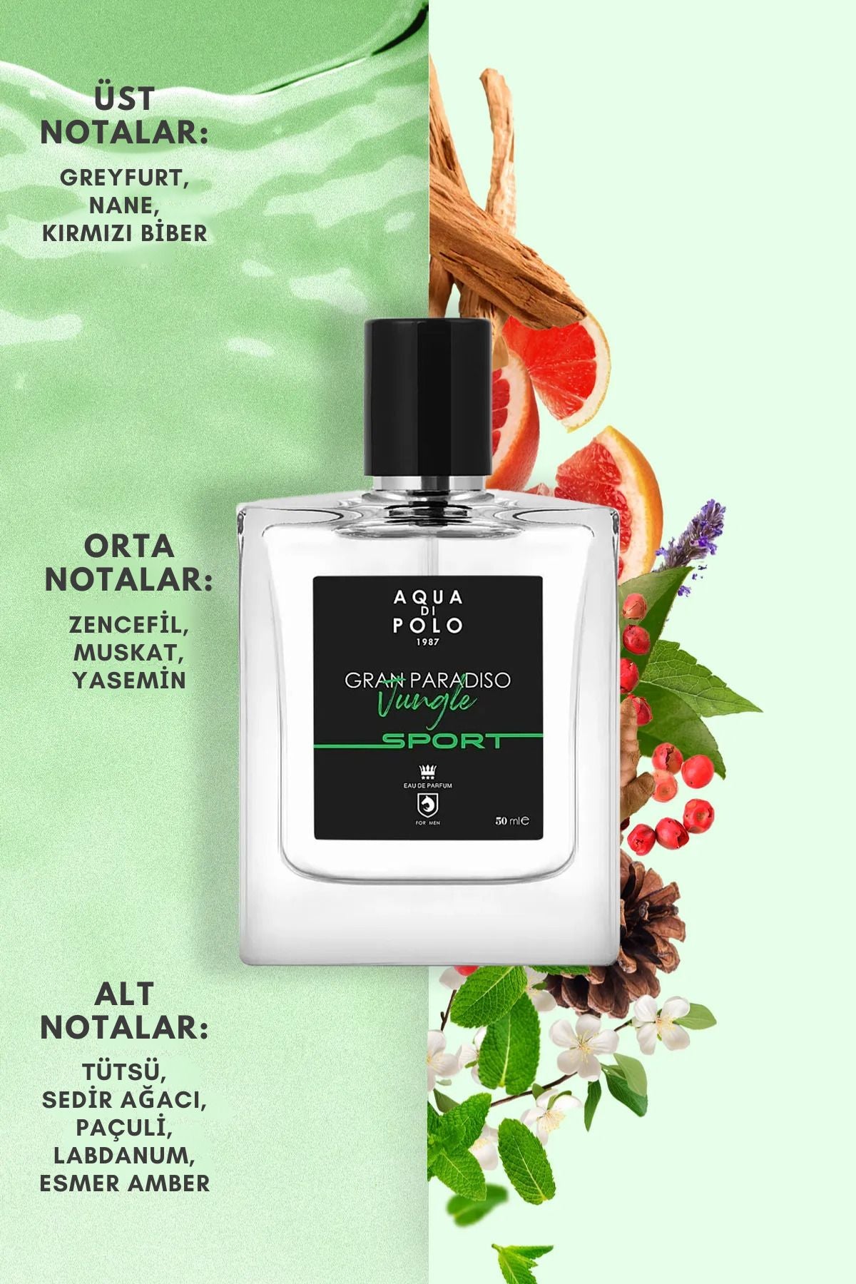 Iseo Sense EDP Kadın Parfüm ve Gran Paradiso Jungle Sport EDP Erkek Parfüm Seti 50 ml 2 Adet