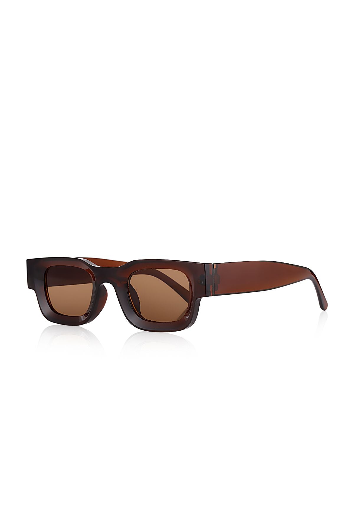 Aqua di Polo 1987 Brown Women's Sunglasses APSN010902
