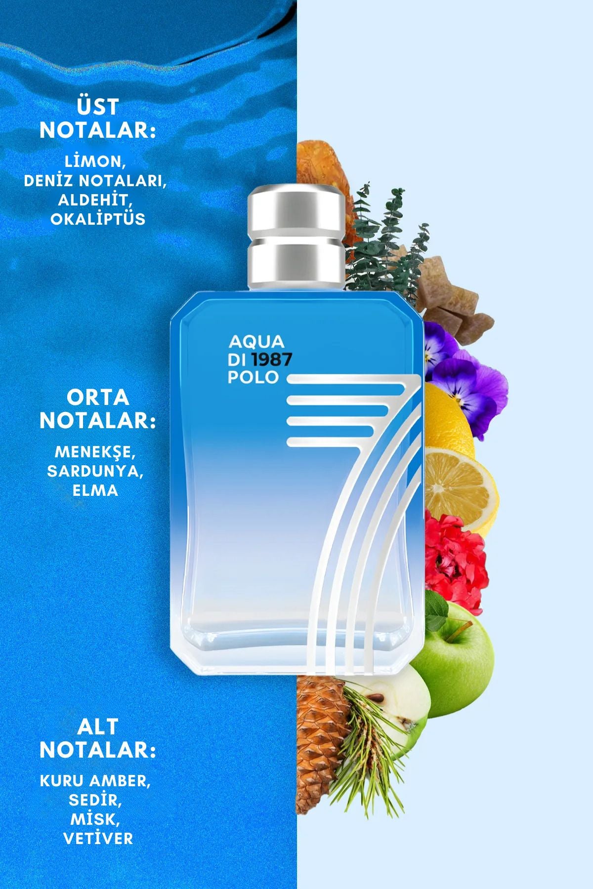 Aqua di Polo 1987 No.7 EDP 100ml Men's Perfume