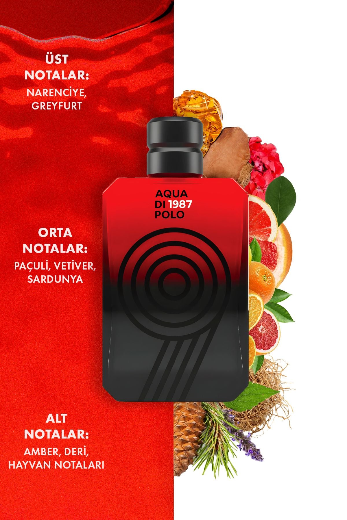No.9 EDP Erkek Parfüm 100 ml | Oryantal, Odunsu | Narenciye, Greyfurt, Paçuli, Vetiver, Amber, Deri
