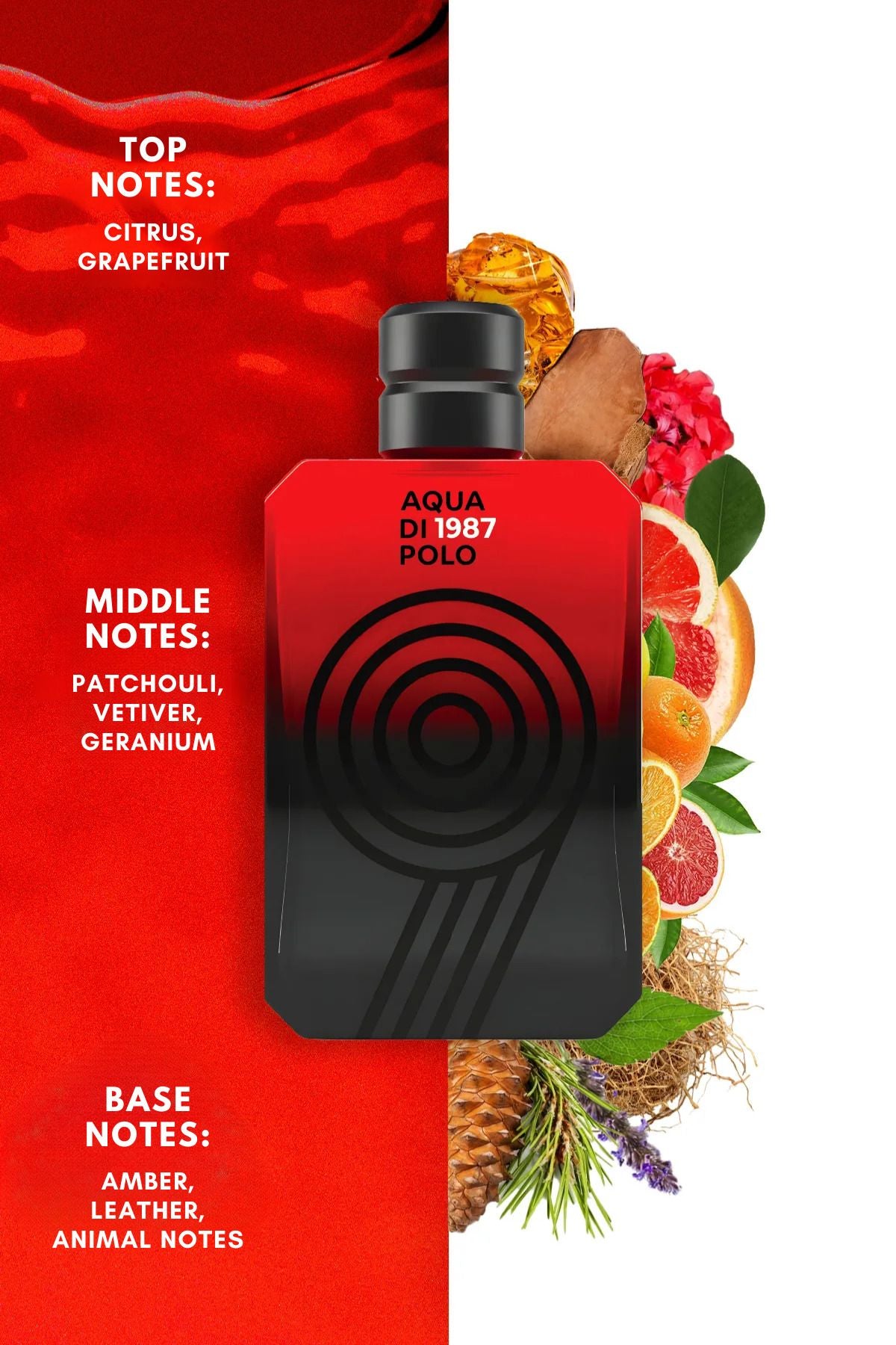 No.9 EDP Erkek Parfüm 100 ml | Oryantal, Odunsu | Narenciye, Greyfurt, Paçuli, Vetiver, Amber, Deri