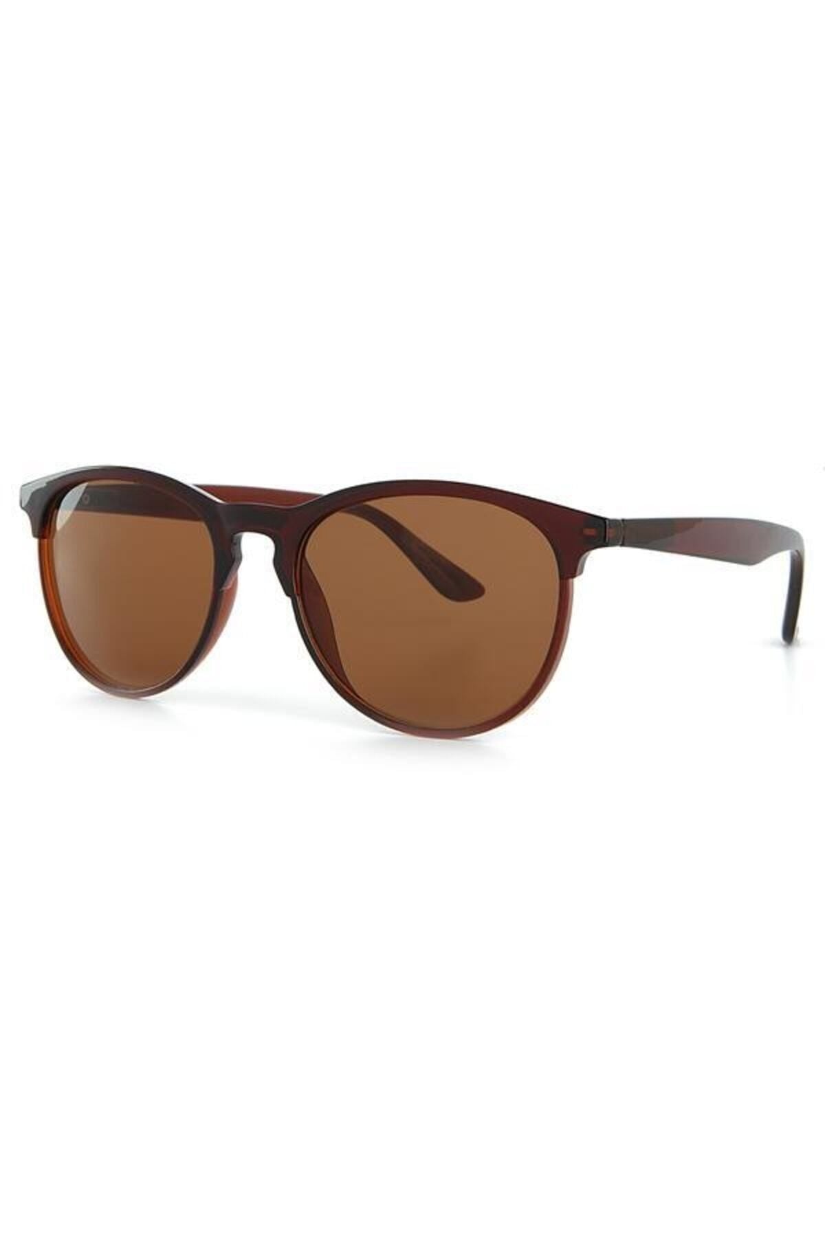 Aqua di Polo 1987 Brown Unisex Sunglasses APSN001302