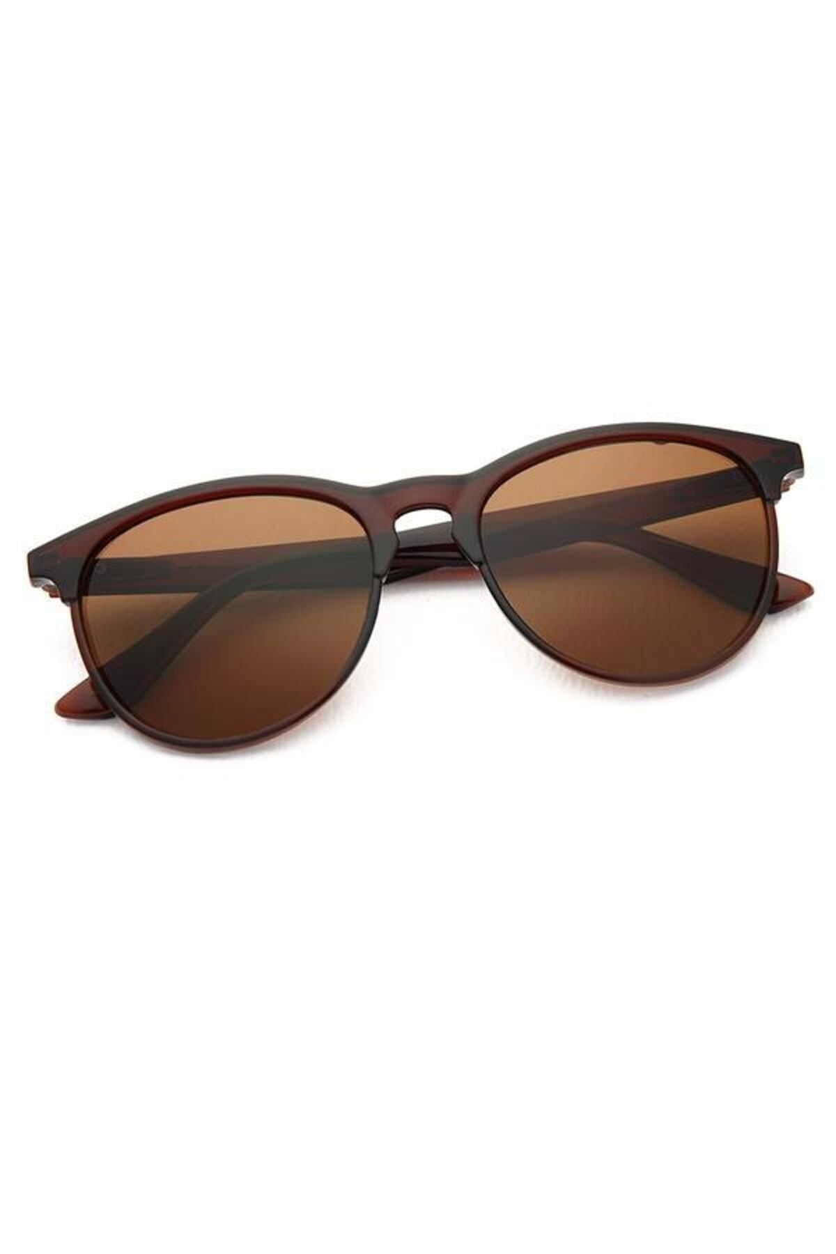 Aqua di Polo 1987 Brown Unisex Sunglasses APSN001302