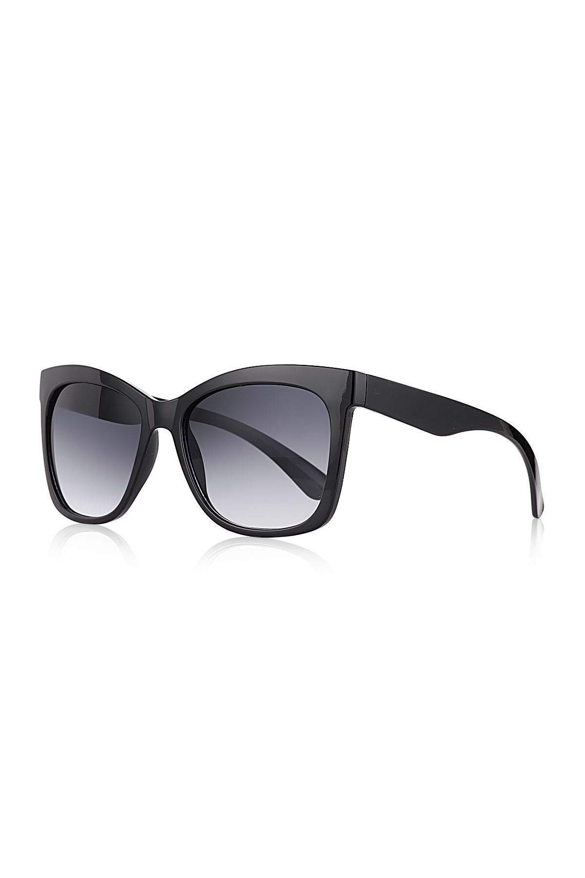 Aqua di Polo 1987 Black Women's Sunglasses APSN011405