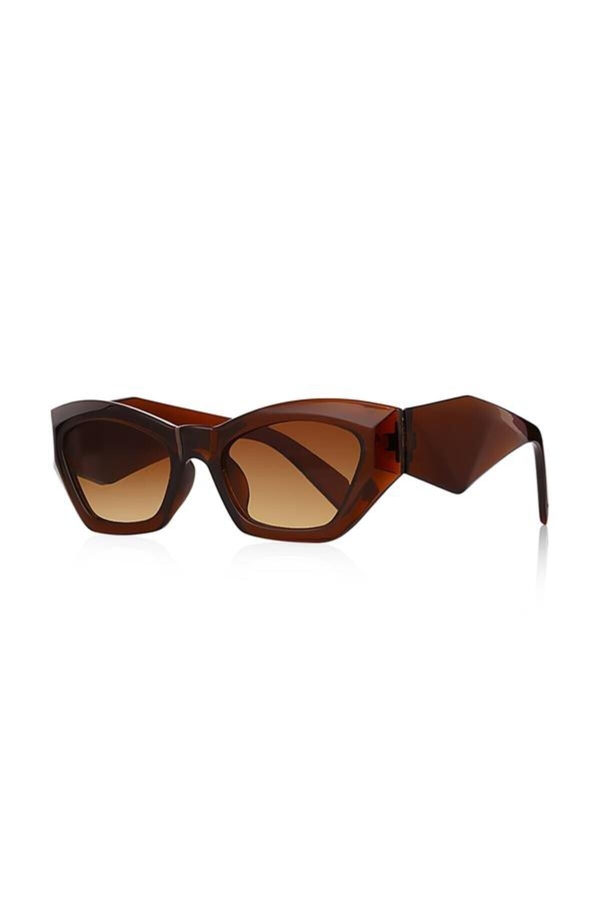 Aqua di Polo 1987 Brown Women's Sunglasses APSO000602