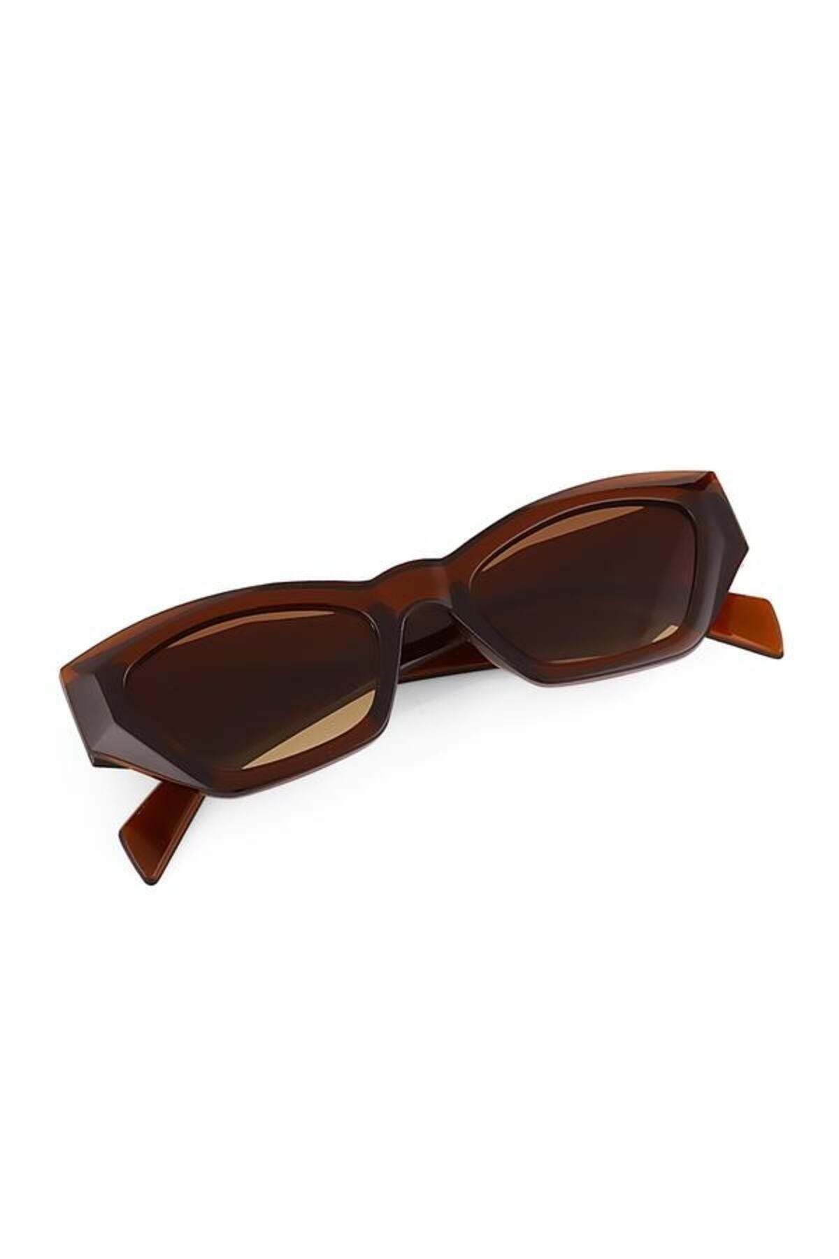 Aqua di Polo 1987 Brown Women's Sunglasses APSO000602