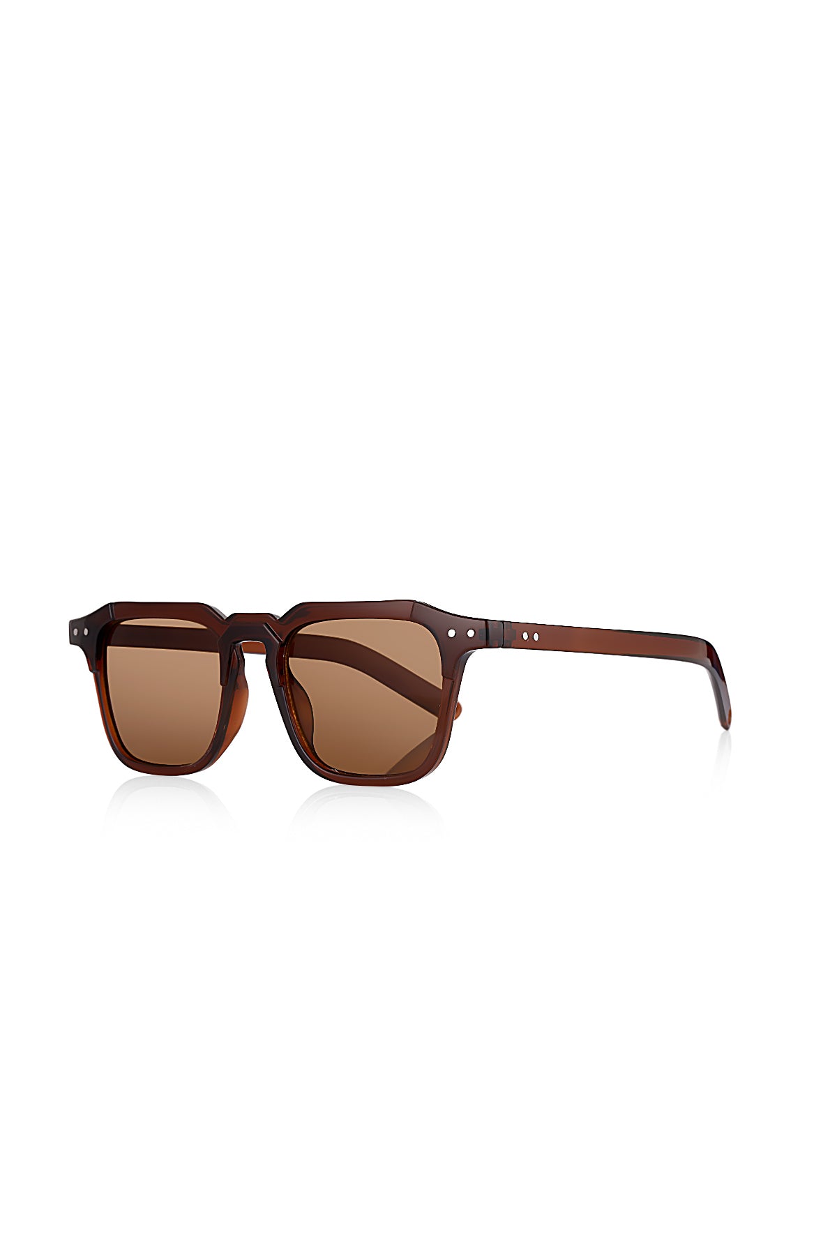 Venice Kahverengi Unisex Geometrik Güneş Gözlüğü Apsn012002