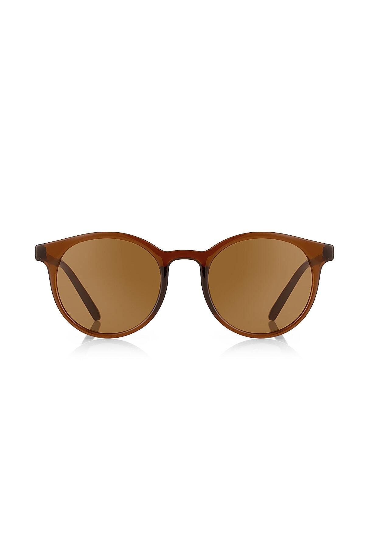 Aqua di Polo 1987 Brown Unisex Sunglasses APSI000102