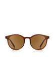 Aqua di Polo 1987 Brown Unisex Sunglasses APSI000102